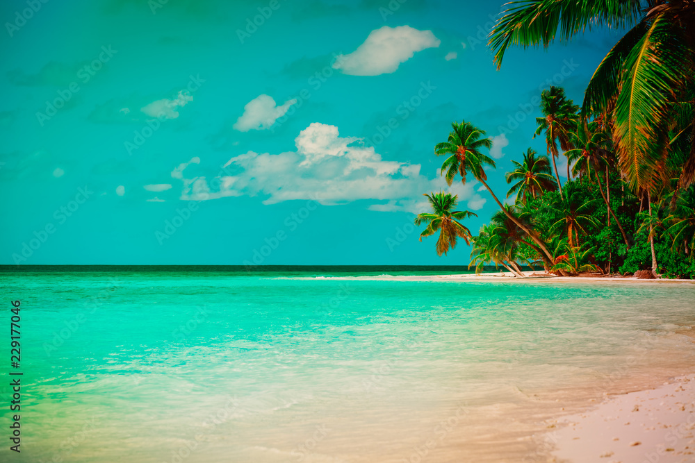 tropical sand beach with palm trees, vacation