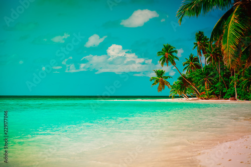 Fototapeta Naklejka Na Ścianę i Meble -  tropical sand beach with palm trees, vacation