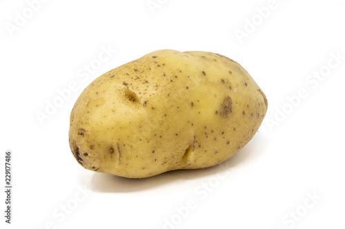 patata Solanum tuberosum