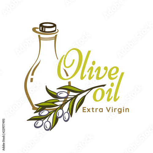 Olive oil bottle and product label templates. Vector icons of green olives branch and extra virgin natural organic oil for farm store or market, cooking and cosmetic or pharmaceutical industry.