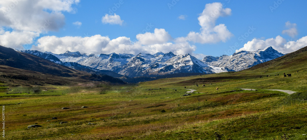 Vacas y caballos pasan el verano y parte del otoño en los prados de alta montaña hasta que llegan las primeras nevadas Val de Aran, Cataluña, España.