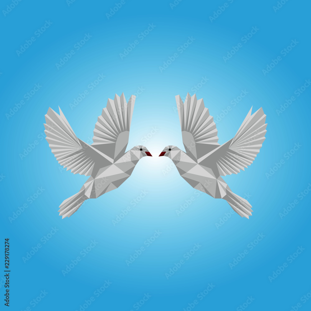 white dove of peace
