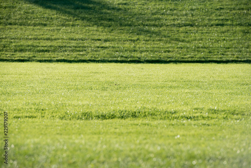 Shadow and sunlight on the lawn, Green field