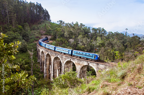 Train on the Nine Arches Demodara Bridge , Sri Lanka.