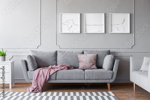 Dog's posters above comfortable grey couch in stylish living room interior with two sofas