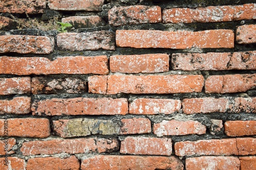 old brick wall texture for background