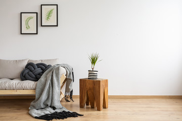 Floral pictures in back frames above scandinavian sofa with knot pillow and grey blanket, real photo with copy space on the empty wall