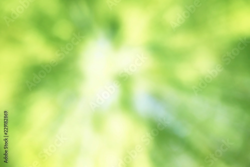 Abstract fresh green background 