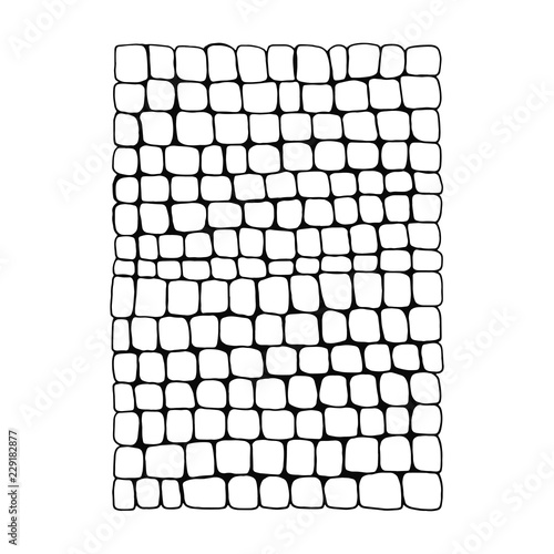 wall masonry isolated on white background. texture of paving stone