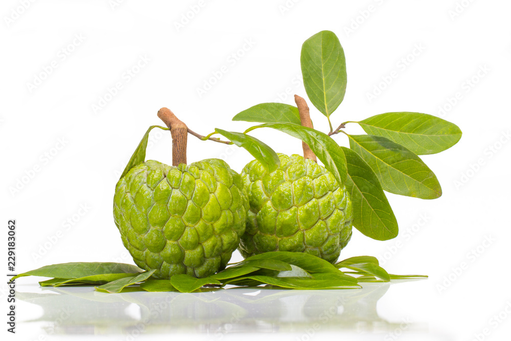 Fototapeta premium Custard apple isolated on white background with stem and leaves