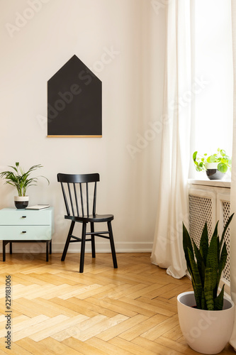 Real photo of a black chair, blackboard and plants in a child room interior