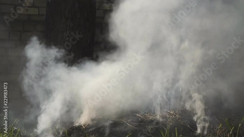 Burning Australian bushfire landscape in Northern Territory in dry season controlled burn .