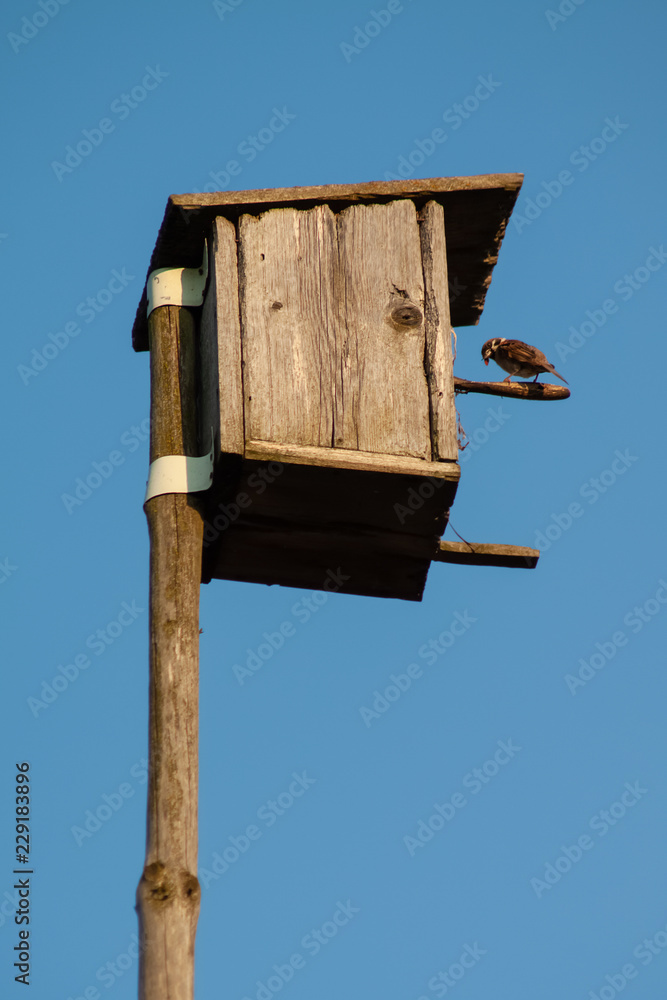 Birdhouse on a wooden pole against a clean blue sky. Birdhouse on a wooden pole against a clean blue sky.