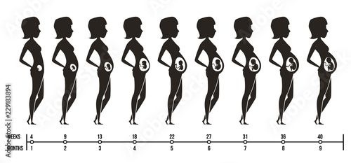 Pregnancy stages. Silhouettes of happy mom with newborn child female pregnancy trimesters infographics vector pictures. Illustration of mother pregnant, motherhood infographic, maternity newborn