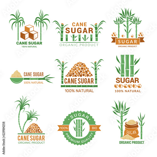 Sugarcane manufacturing. Sweets plants production farm industry leaf vector badges or labels with place for your text. Illustration of eco agriculture production sugar