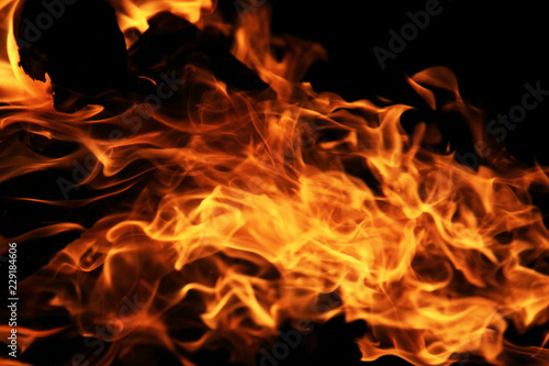 real fire texture