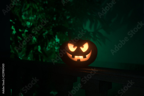 Halloween pumpkin. Carved Halloween pumpkin glowing in the dark. © zef art