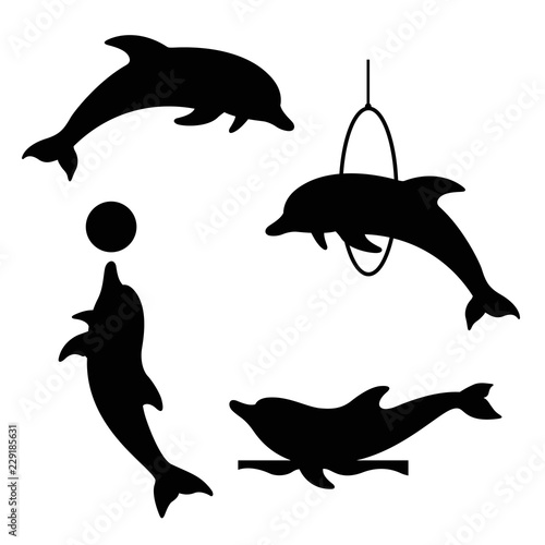 Dolphin set 3
