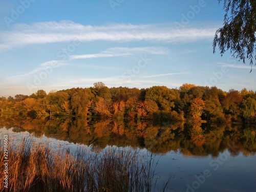 Fotografía Autumn and river
