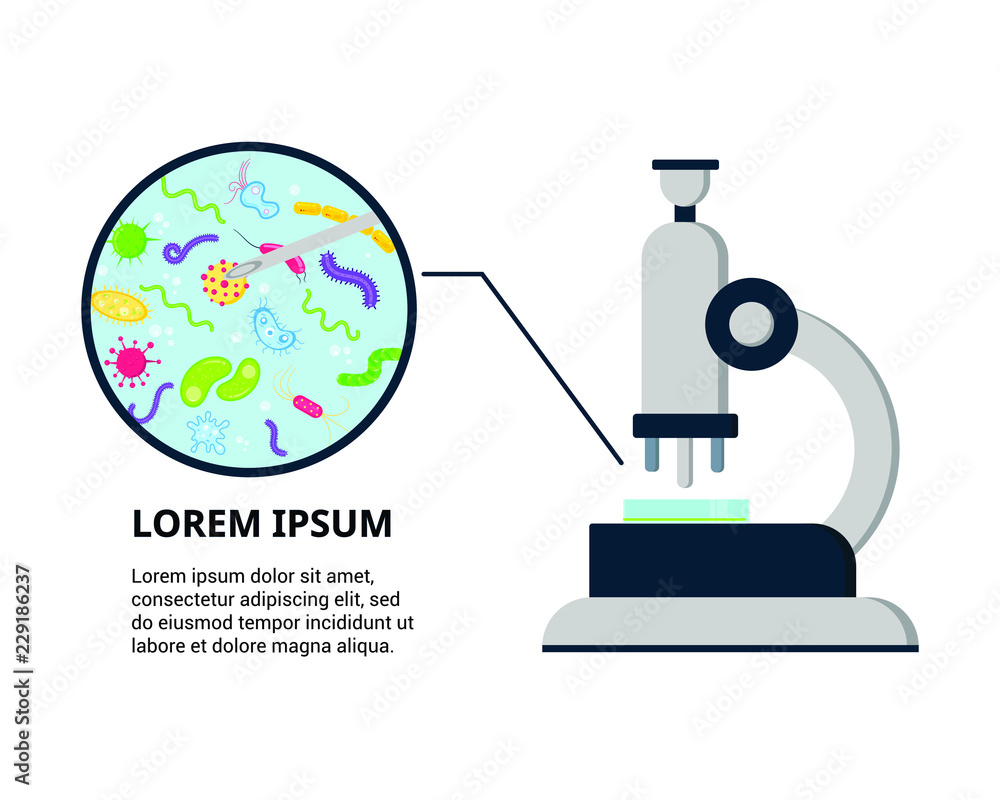 Laporatory biology or research science lab analisys equipment template.  Microscope and zoomed view bacterias, germs, viruses and microorganisms  flat style cartoon design banner vector illustration. Stock Vector | Adobe  Stock