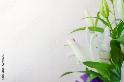 Fototapeta Naklejka Na Ścianę i Meble -  White lily flowers and buds close up