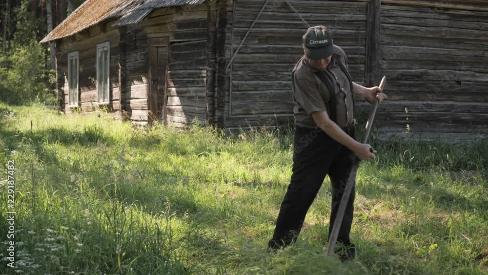 old man cutting grass with scythe old man cutting grass with scythe
