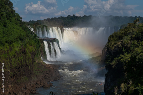 Iguazu falls and Atlantic rainforest in sunlight  Misiones  Argentina  South America