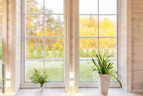 Bright interior of the room in wooden house with a large window overlooking the autumn courtyard. Golden autumn landscape in white window. Home and garden, fall concept. Plant Sansevieria trifasciata © Olga Ionina