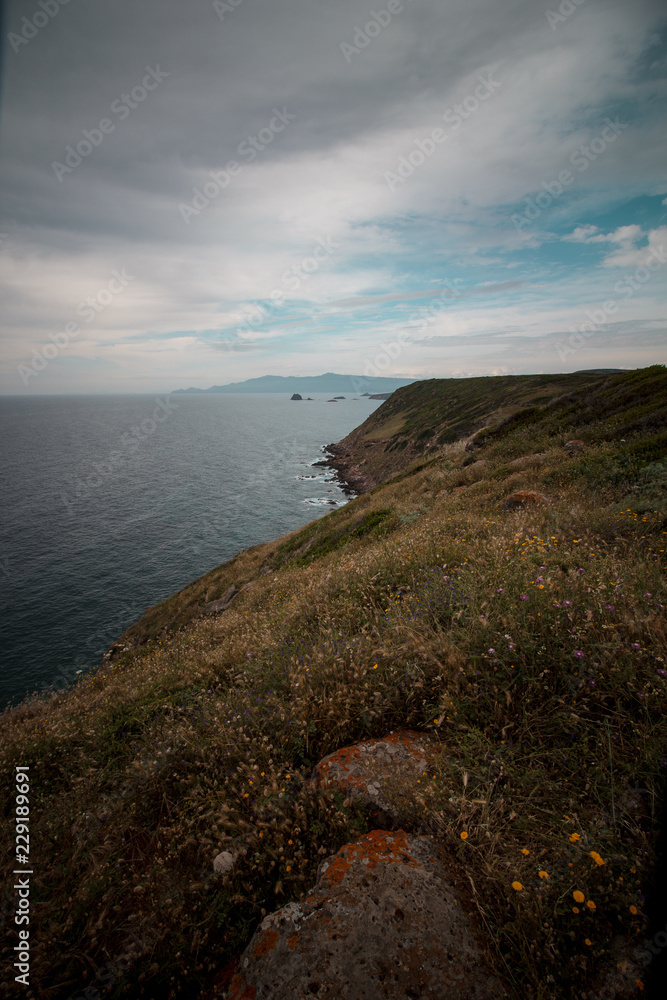 Cliff sea cloudy day. Mediterranean vegetation panorama. Sardinia, Italy. Vertical.