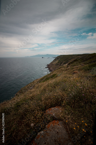 Cliff sea cloudy day. Mediterranean vegetation panorama. Sardinia, Italy. Vertical.