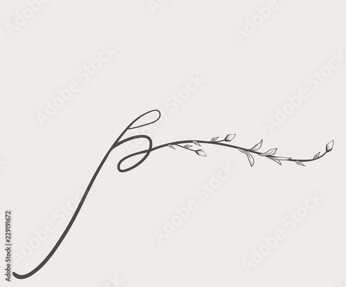 Vector Hand Drawn floral p monogram and logo