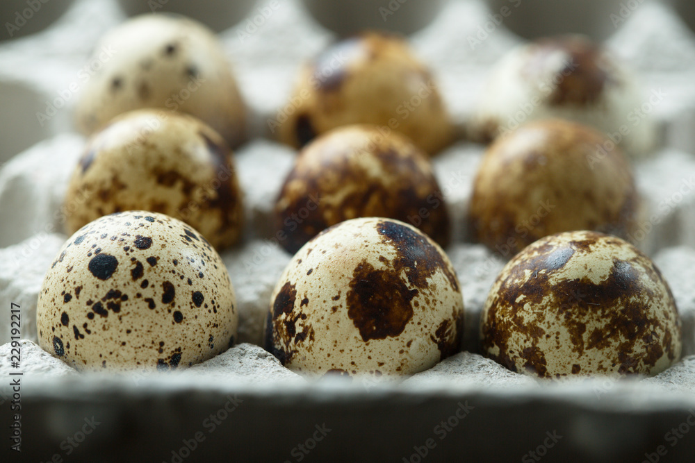 Obraz premium Raw quail eggs
