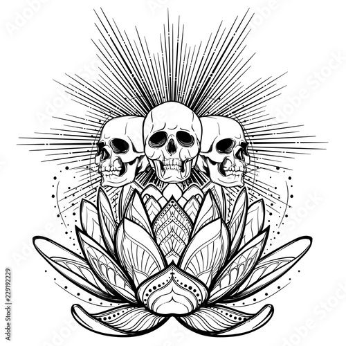 Halloween spirit. Human skulls on a sacred lotus flower with light rays behind. Intricate hand drawing isolated on white background. Tattoo design. EPS10 vector illustration