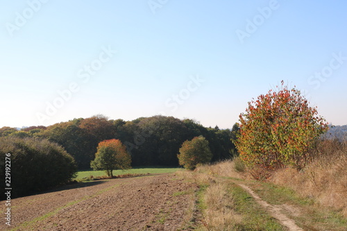 Schöner Herbsttag zwischen Wald und Wiese