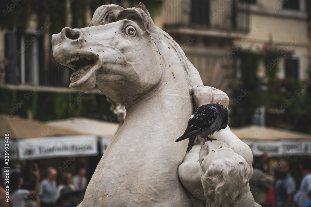 Pigeon Sitting On A Sculpture Of The Fountain Of Neptune In Rome
