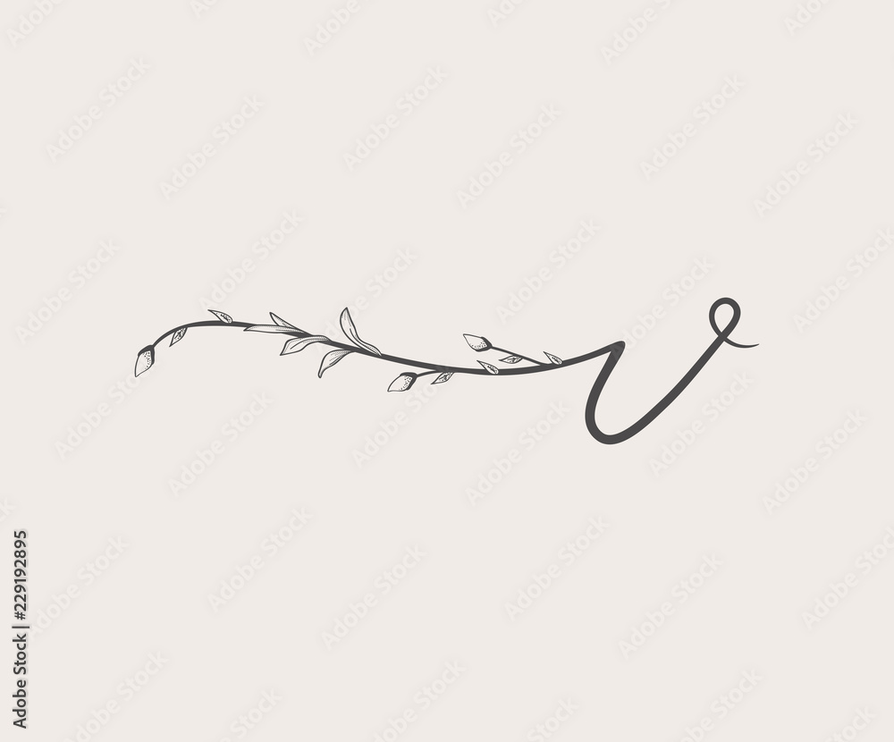 Vector Hand Drawn floral v monogram and logo Vector Hand Drawn floral v monogram and logo