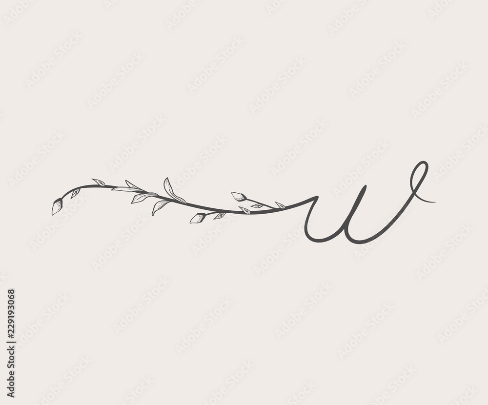 Fototapeta premium Wektor ręcznie rysowane kwiatowy w monogram i logo