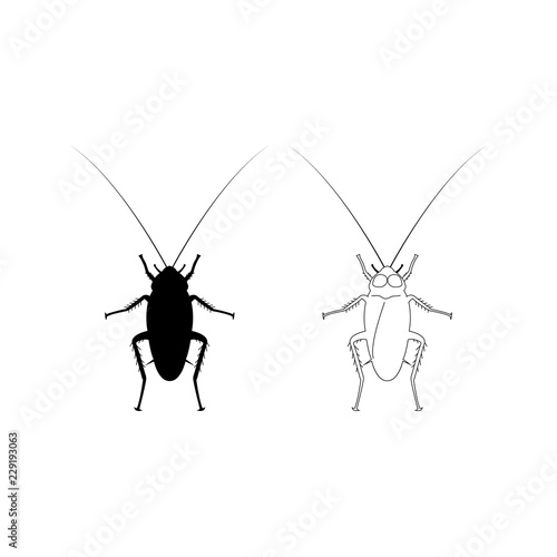 cockroach logo icon design vector