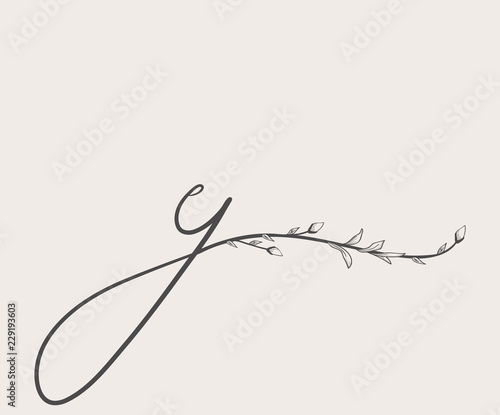 Vector Hand Drawn floral y monogram and logo