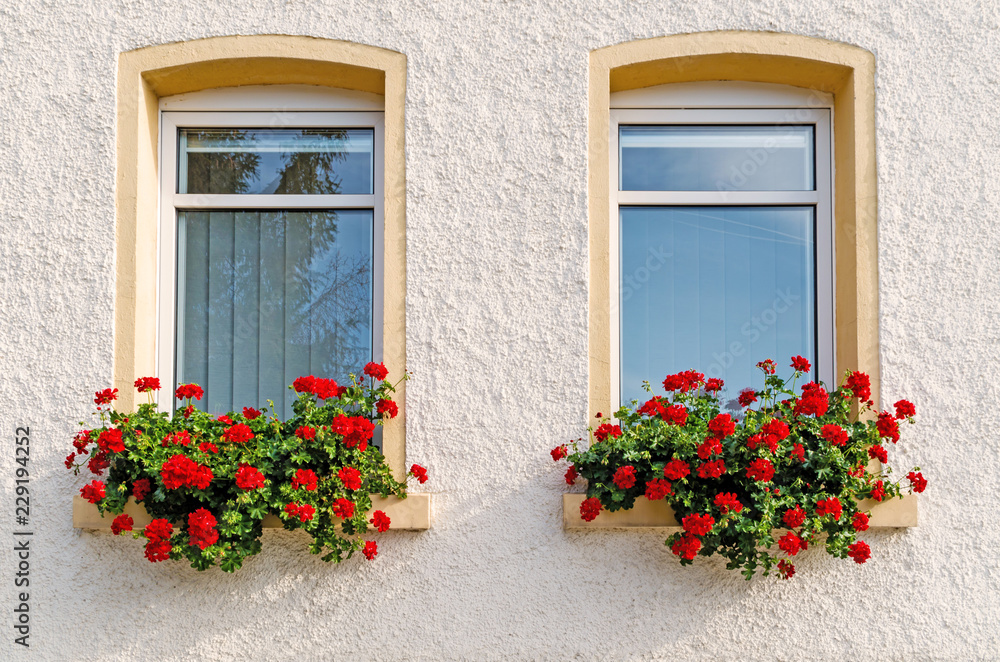 Windows with Red Flowers