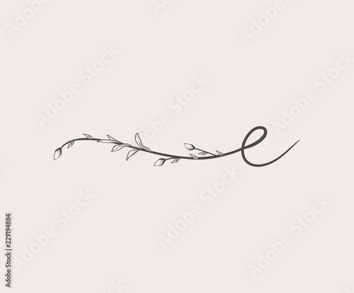 Vector Hand Drawn floral e monogram and logo