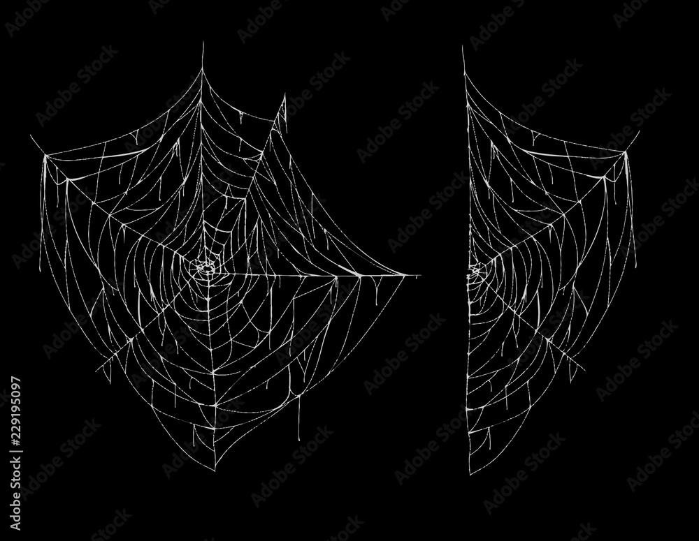 Vector illustration of spiderweb, whole and part, white spooky cobweb  isolated on black background. Sticky hanging net, spider trap to catch  insects. Hand drawn silhouette, decor for Halloween design Stock Vector