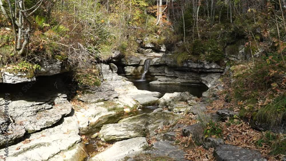Bach im Wald - sprudelnder Wasserlauf Bach im Wald - sprudelnder Wasserlauf