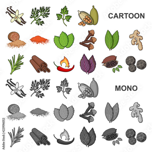 Herb and spices cartoon icons in set collection for design.Different kinds of seasonings vector symbol stock web illustration.