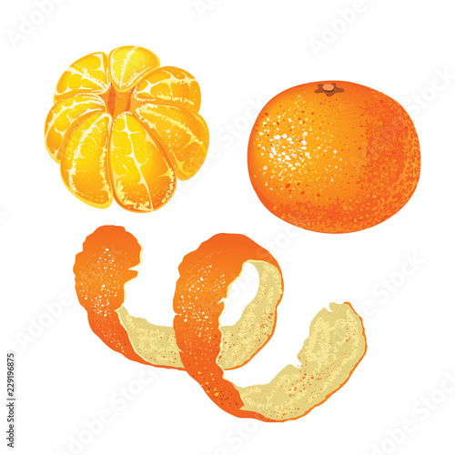Set of whole tangerine, peeled mandarin and tangerine skins