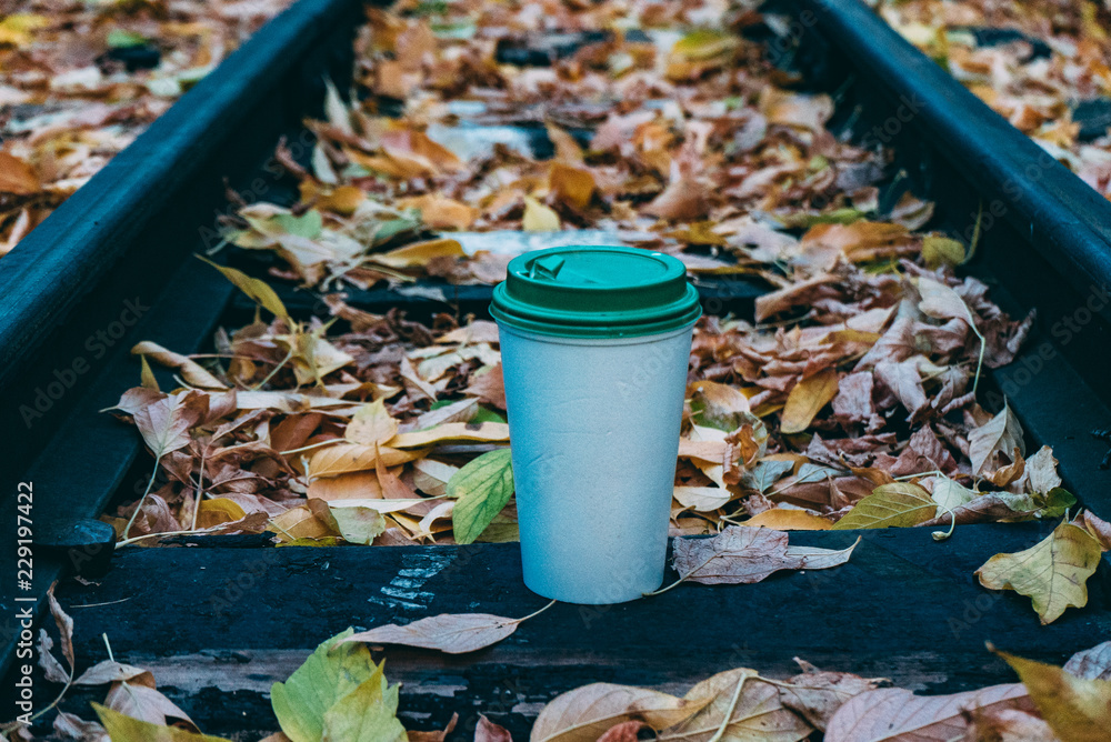 coffee Cup in the autumn and the urban environment coffee Cup in the autumn and the urban environment