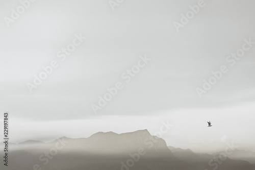 minimal black and white landscape © fran_kie
