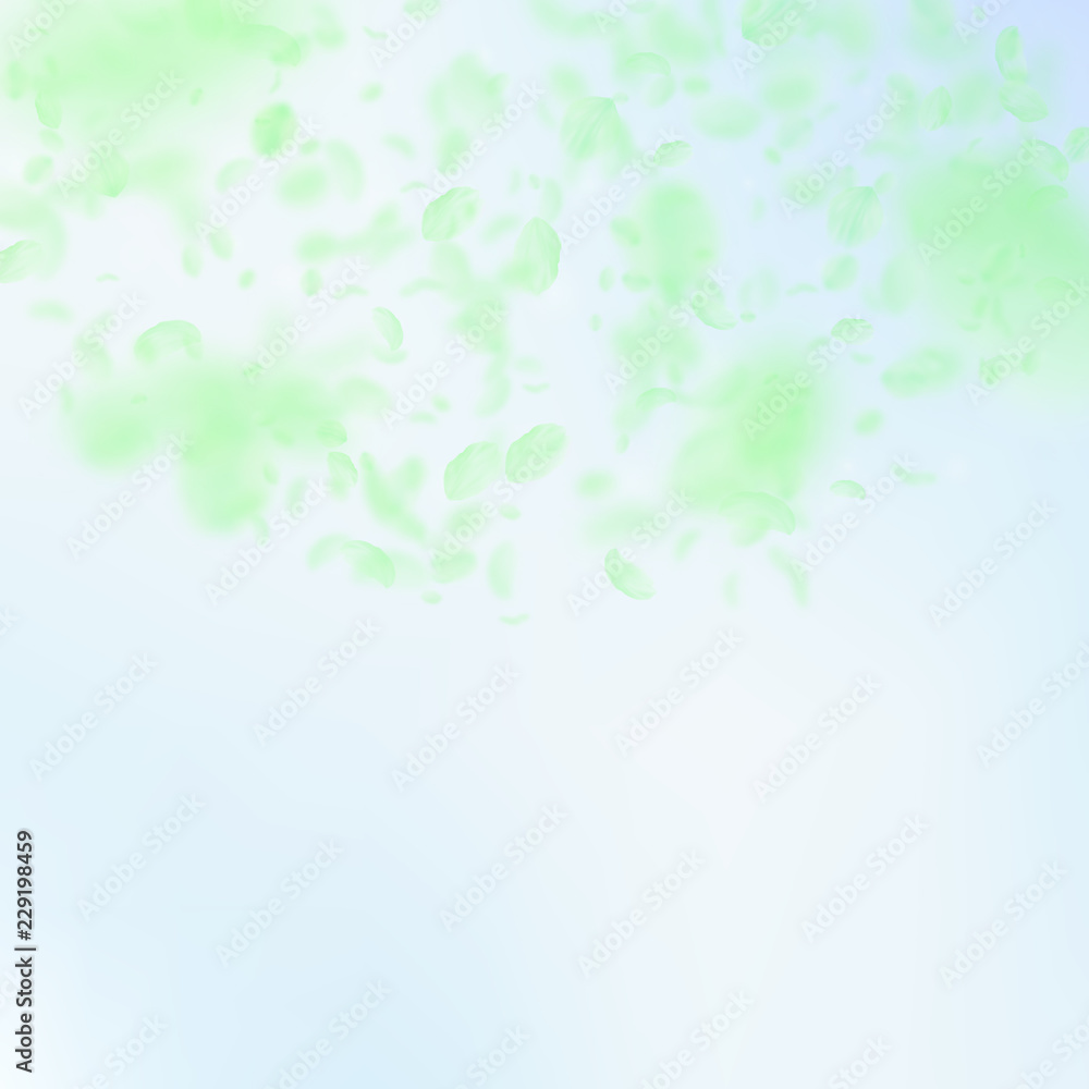 Green flower petals falling down. Splendid romanti Green flower petals falling down. Splendid romanti