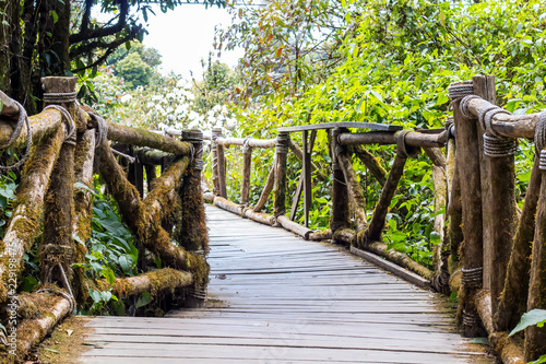 Walkway or Pathway to nature in the forest and trees on wood bridge.Image can be used as a background