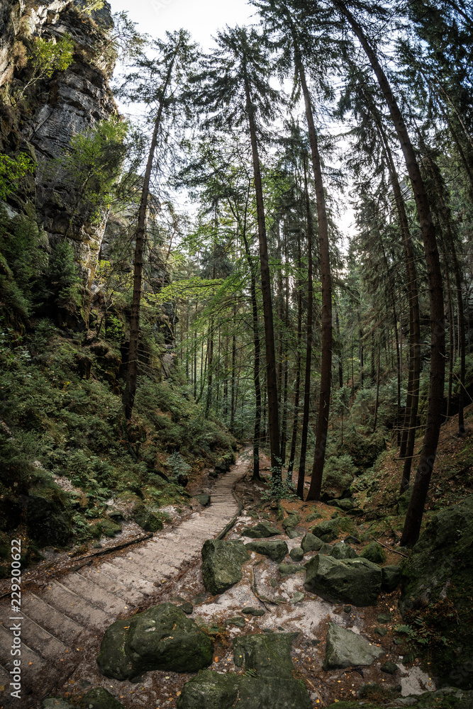 Elbsanstein Gebierge in der Sächsischen Schweiz